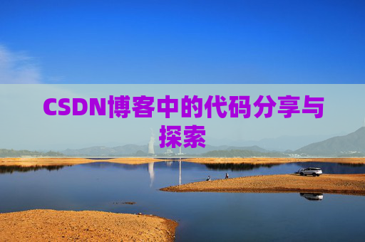CSDN博客中的代码分享与探索